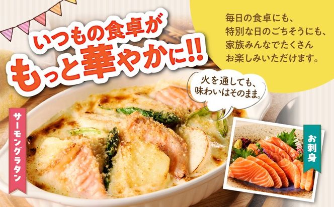G3561-1 【スピード発送】アトランティックサーモン 1.2kg【小分け ポーション 柵切り 刺身 魚介 海鮮 さーもん 生食 訳あり サイズ不揃い】