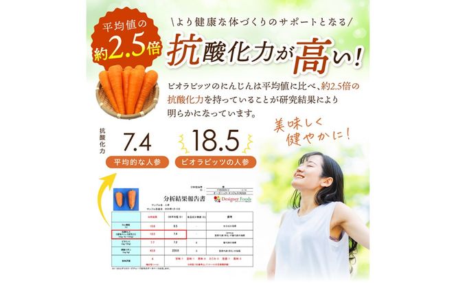 【先行予約（2026年12月上旬～順次発送）】＜てんとうむしばたけ＞有機にんじん5kg　BR00082