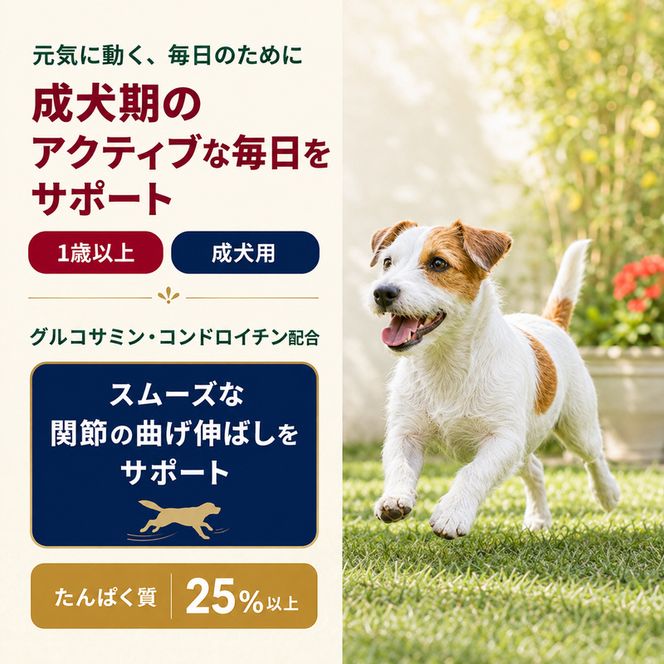 ビューティープロ ドッグ 成犬用 1歳から 5.2kg ｘ1(ケース単位) ドッグフード