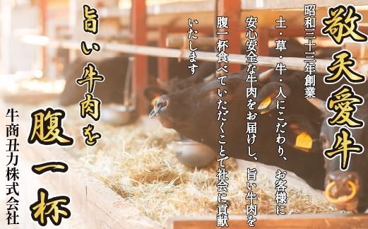 y{茧юszyД_azxiaŏē{[ZbgiY  a Ԑg ~ ē BBQ j