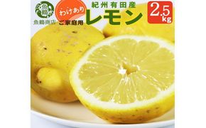 【ご家庭用訳あり】紀州有田産レモン　2.5kg【予約】※2027年3月上旬頃〜2027年3月下旬頃に順次発送予定(お届け日指定不可) レモン れもん 果物 柑橘【uot777】