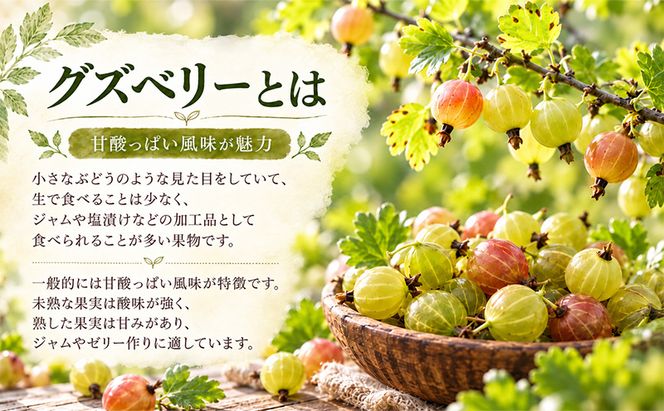 手作りジャム セット 【グズベリー】 2個 北海道 南富良野町 ジャム ベリー ソース 果実
