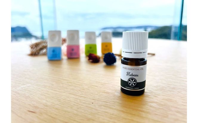 へべすのアロマオイル(5ml)と陶器製アロマスティックのセット アロマ オイル へべす 柑橘 宮崎県 門川町 【熊野農園】【T-5】
