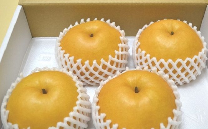 フルーツの里の直売所より 新高梨 5kg ナシ 果物 先行予約 