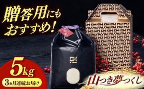 【全3回定期便】農薬 を使わずに育てた 山つき   夢つくし 5kg【築上町】 / itoshimacco / 株式会社やました[ABEX014]