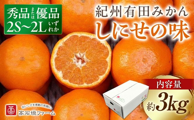 有田みかん しにせの味 約3kg 2S～2Lのいずれか 秀品または優品 	K002