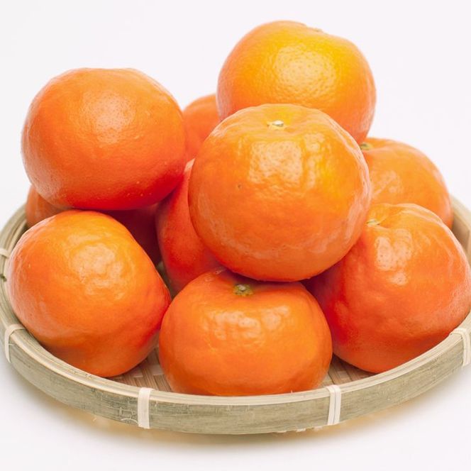 ＜4月より発送＞厳選 セミノールオレンジ7.5kg+250g（傷み補償分）◇【春みかん】【有田産】【光センサー食べ頃出荷】