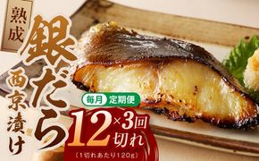 G5640 【定期便】銀鱈 西京漬け 120g×12切れ 全3回【厚切り 小分け 熟成 銀だら ぎんだら ギンダラ 海産物 魚 惣菜 西京焼き 味噌 お酒のあて 訳あり サイズ不揃い 切り落とし】