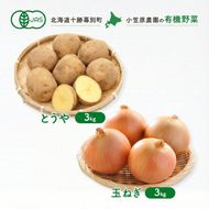 小笠原農園の有機野菜 2種詰合せ（とうや3kg・玉ねぎ3kg）北海道 十勝 幕別《2026年秋出荷先行予約》【 野菜 芋 じゃがいも とうや 玉ねぎ たまねぎ セット 】