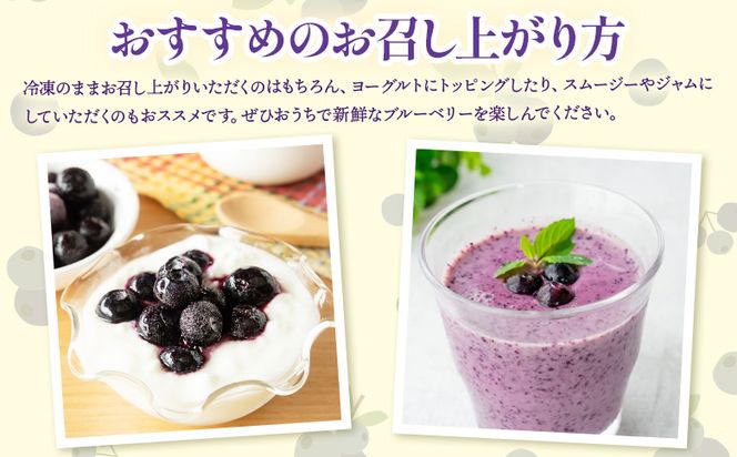完熟 冷凍ブルーベリー 約1kg(200g×5袋) - フルーツ 果物 くだもの おやつ スイーツ デザート スムージー ヨーグルト ジャム 国産 高知県産 柳本果樹園 高知県 香南市 冷凍 yg-0028