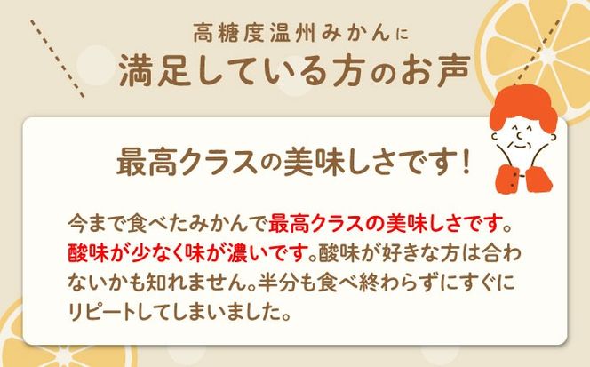 【2024年11月下旬〜発送】【高糖度】 温州みかん 約10kg / みかん 南島原市 / 南島原果物屋 [SCV012]