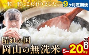 【9ヶ月定期便】晴れの国岡山の無洗米 選べる内容量 5kg 10kg 15kg 20kg 岡山県産 無洗米 無洗 米 矢掛町《申し込み翌月から発送》米 コメ---ofn_homtei_25_1035000_mo9num1---