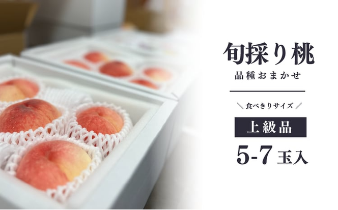 【2026年先行予約】量より質！桃と葡萄と梨の上級品が届く岡山果物便！３回便(定期便) (岡山県産) 【KF-T024-04】