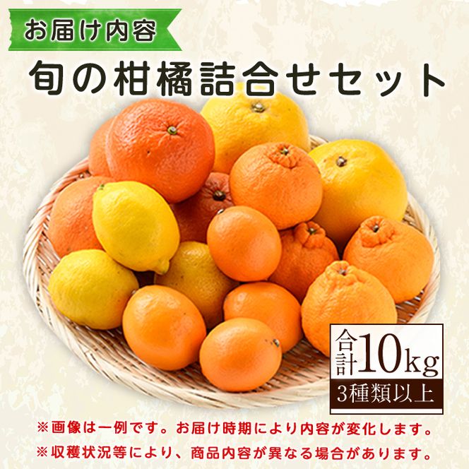 ＜2027年2月発送分！＞旬の柑橘詰合せセット (約10kg) 国産 鹿児島県 阿久根市 果実 果物 フルーツ 柑橘 みかん ミカン 旬 詰め合わせ セット【桐野柑橘株式会社】akn070-16-m02