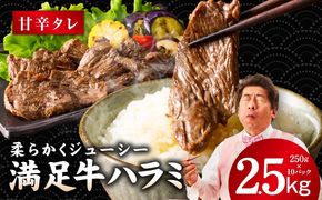 G3413 【満足牛ハラミ】甘辛タレ漬け 合計2.5kg 【味付け ハラミ 小分け 焼くだけ 簡単調理 BBQ 牛肉 250g×10P】