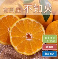 和歌山県有田産 不知火 約5kg（18～24玉）ひとつひとつ手選別で厳選！生産者から直送