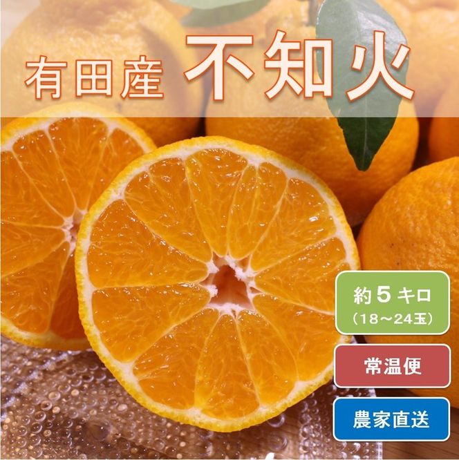 和歌山県有田産 不知火 約5kg（18～24玉）ひとつひとつ手選別で厳選！生産者から直送