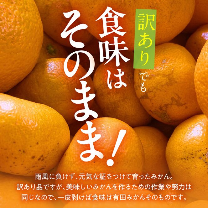 MK1035_訳あり それでも みかん 箱込 5kg ( 内容量 4.4kg ) サイズミックス Ｂ品 有田みかん 和歌山県産 産地直送 家庭用【みかんの会】