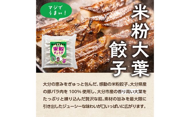【A02038】大分特産！グルテンフリーのニラと大葉の米粉餃子