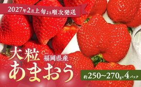 あまおう 【2027年2月上旬より順次発送】大粒あまおう 4パック イチゴ 苺 いちご 果物 福岡県産 ※配送不可:離島