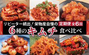 G2778 【リピーター続出】6種 キムチ食べ比べ 定期便 全6回【毎月配送コース 高評価 人気 惣菜 きむち 漬物 韓国グルメ おつまみ 家計応援 お楽しみ 福袋】