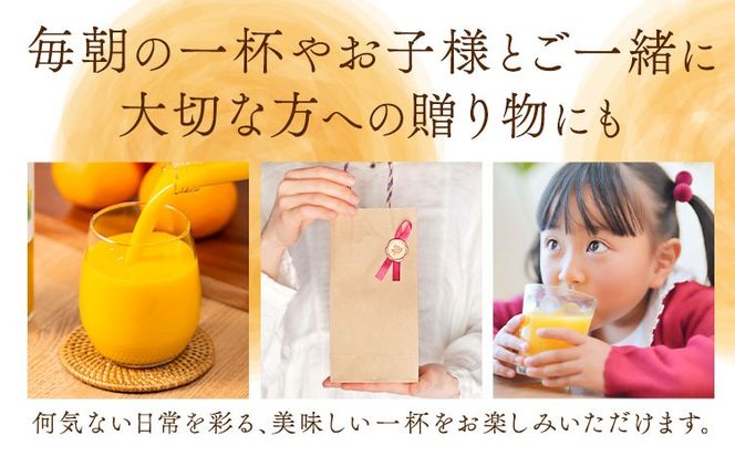 池田農園のみかんジュース 2本 または 3本 1本500ml 池田農園《30日以内に出荷予定(土日祝除く)》熊本県 玉名郡 玉東町 みかんジュース みかん ミカン ジュース 自然栽培 栽培期間中農薬・肥料不使用---gkt_ikd_2_2h---