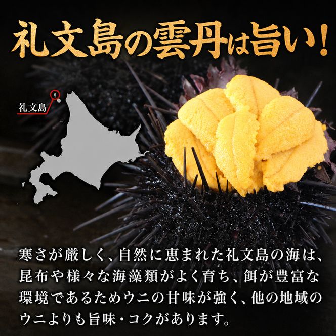 北海道 礼文島産 ミョウバン不使用 塩水ウニ キタムラサキウニ 100g×5パック［野崎水産］【 うに ウニ 雲丹 生うに 塩水うに ムラサキウニ 素材本来の味 海鮮 うに丼 濃厚 甘み 産地直送 】