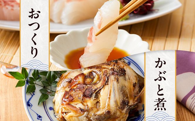 白浜天鯛完食 【先行予約 2026年3月初旬～5月中旬に順次配送】 304018_C008