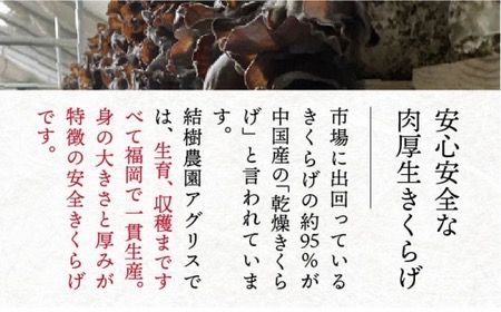 【全6回定期便】結樹農園 アグリス めんたい きくらげ 300g 《糸島》【結樹農園アグリス】きくらげ/国産/明太/明太子 [AAJ006]