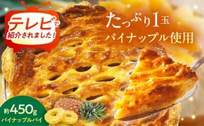 【TVで紹介！】オリジナル★パイナップルパイ (直径約18cm / 約450g) パイン アップルパイ お取り寄せ 絶品 ギフト 年内発送 沖縄市 / 株式会社クロップ[BCCC001] 