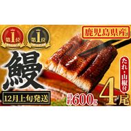 【0204348a-2612】＜12月上旬発送予定＞東串良町のうなぎ蒲焼(無頭)(4尾・計約600g・タレ、山椒付) うなぎ 高級 ウナギ 鰻 国産 蒲焼 蒲焼き たれ 鹿児島 ふるさと 人気 【アクアおおすみ】