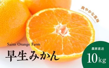 【先行予約】Saito Orange Farmの早生（わせ）みかん10kg ｜ 柑橘 みかん ミカン フルーツ 果物 愛媛　※離島への配送不可　※2024年12月上旬頃より順次発送予定