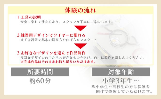ワイヤークラフト体験 ペアチケット ak-0009