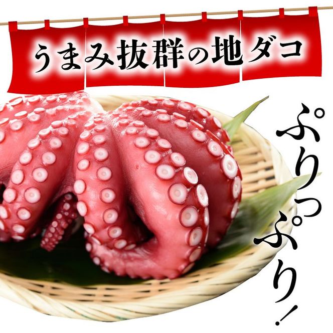 【夏季限定】マダコ(茹で)1.5Kg N014-YB342