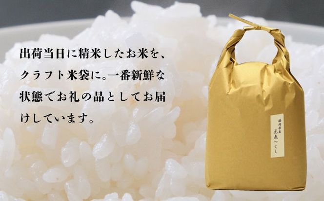 令和7年産【特A】評価のお米「元気つくし」5kg×1袋 [5kg] [白米]《築上町》【株式会社ベネフィス】[ABDF201]