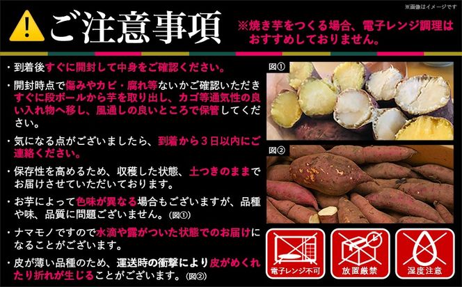 島津甘藷　熟成紅はるか 5kg(S～2S)_LE-A701-m