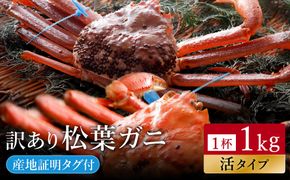 【訳あり】タグつき 活松葉ガニ１kg前後