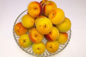 ［梅干づくり用］紀州南高梅・優５ｋｇ（２Ｌ） 304018_AV20