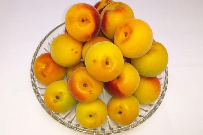 ［梅干づくり用］紀州南高梅・優５ｋｇ（２Ｌ） 304018_AV20