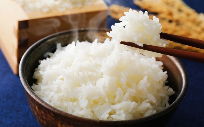 【令和8年産】 こしひかり 白米 5kg 糸島市産 糸島市 / 糸島の恵み コメ こめ ご飯[AGR021]