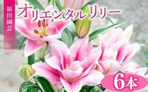 ユリ オリエンタルリリー 6本セット 花束 贈り物 ギフト プレゼント 誕生日 母の日 父の日 敬老の日 記念日 お祝い 結婚式 ウェディング ブーケ 華やか 大輪 香り 優雅 エレガント つぼみ ピンク 白 高級 切り花 福田園芸 花好き こだわり 栽培 メッセージカード ラッピング 安芸市 高知県