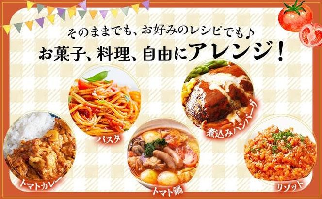 新鮮野菜の「とまとスープ～七変化～」1.2kg 【農福連携】