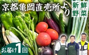 《価格改定》新鮮 旬の野菜セット 7～10品目 京都 佐伯の里 京都丹波・亀岡産 季節の野菜詰め合わせ 朝採れ 直送 訳あり 家計応援 生活応援 お試し《価格改定10000円→8000円》 ※北海道・沖縄・離島への配送不可