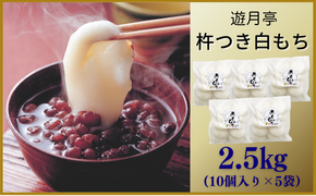 遊月のもち（５０g×１０個）×5袋　2500ｇ
