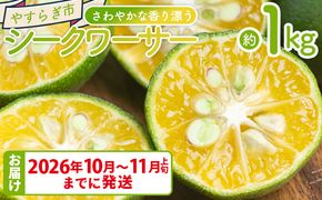 さわやかな香り漂うシークワーサー 1kg 柑橘 フルーツ くだもの 果物 yr-0106