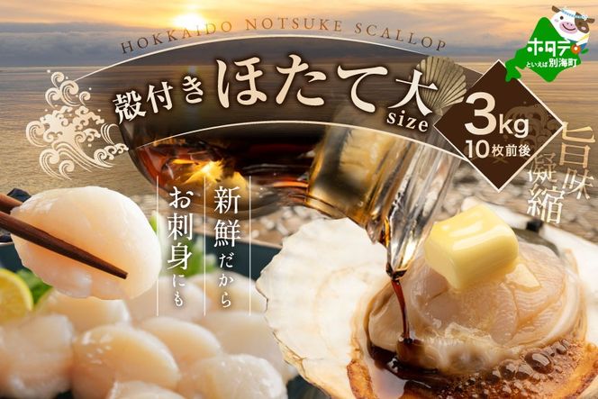 【先行予約】北海道野付産活ホタテ 3kg（10枚前後）【KO0000001】