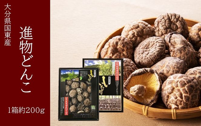 y啪szYiǂ񂱒ő1i200gj_2632R