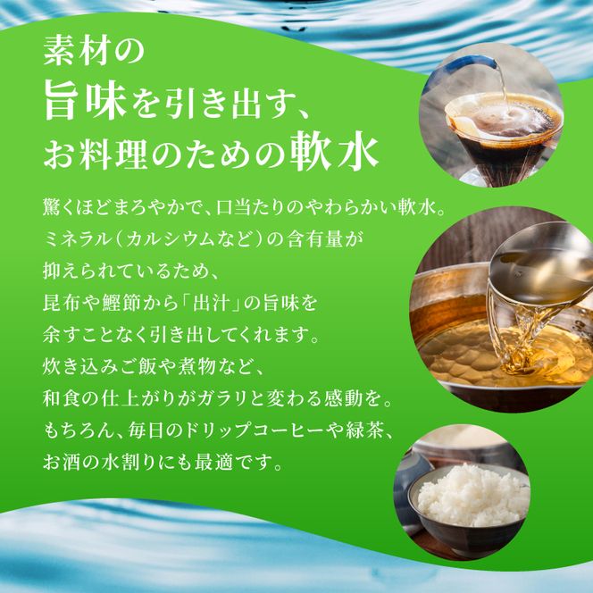 水 定期便 12ヶ月 日本百名山 鳥海山の真純水 2L × 12本 ミネラルウォーター 2リットル 2l 軟水 超軟水 産地直送 スキンケア 美容 健康 お水 天然水 ペットボトル 飲料 湧水 災害 防災 備蓄 備蓄水 ローリングストック 災害対策 備蓄用 定期 12回