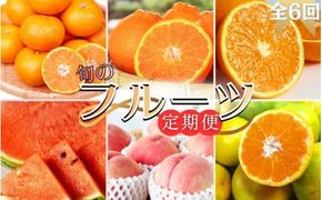 【全6回定期便】旬のフルーツ定期便 【田村みかん / 紀州デコ(不知火) / 清見オレンジ / 小玉スイカ / 桃 / ゆら早生みかん】 ～和歌山の旬をお届け～ / みかん ミカン 温州みかん 有田みかん 不知火 デコポン 桃 もも モモ 柑橘 フルーツ 果物 くだもの 旬 人気 甘い 定期便  6回 全6回 6か月【uot050-syun6】