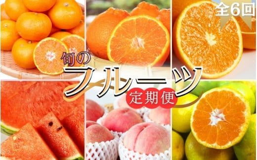 【全6回定期便】旬のフルーツ定期便 【田村みかん / 紀州デコ(不知火) / 清見オレンジ / 小玉スイカ / 桃 / ゆら早生みかん】 ～和歌山の旬をお届け～ / みかん ミカン 温州みかん 有田みかん 不知火 デコポン 桃 もも モモ 柑橘 フルーツ 果物 くだもの 旬 人気 甘い 定期便  6回 全6回 6か月【uot050-syun6】